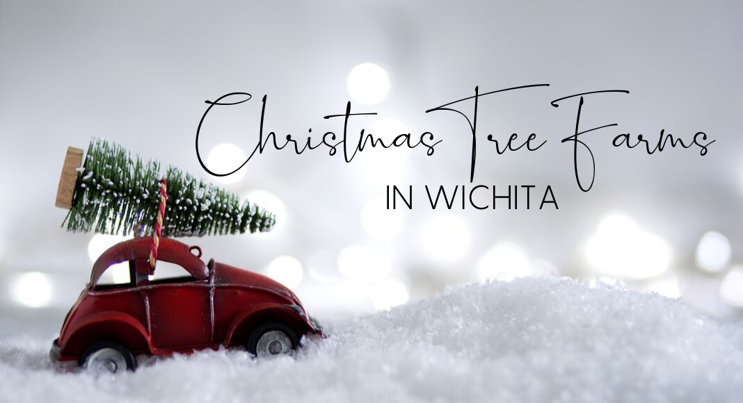 Christmas Tree Farms in Wichita 2019